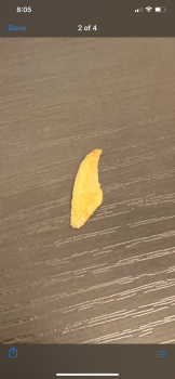 Chipotle Mexican Grill, New Jersey 35, Eatontown, NJ, USA photo #1