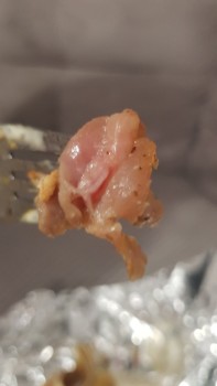 German Doner Kebab,UK foto #1