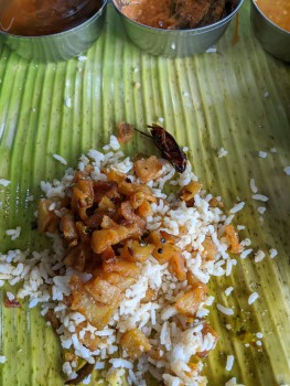 Consumer Food Safety Report Changi Business Park Crescent, Sankranti, Singapore Got a cockroach in food photo #3