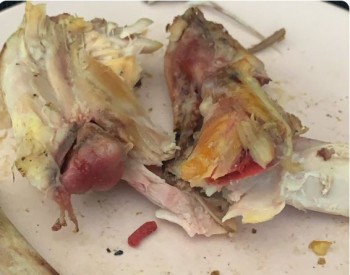 El Pollo Loco foto #1