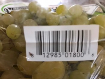 Consumer Review - Food Safety King Soopers, Quebec Street, Denver, Colorado, USA Green grapes. , Two members of our family, 6 to 1... photo #1