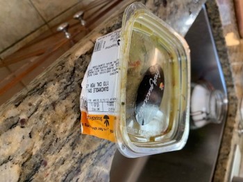 Stop & Shop, Teaticket Highway, East Falmouth, MA, USA 照片 #1