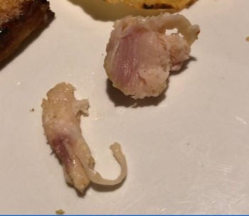 Panera Bread photo #1