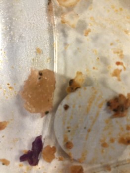 Bericht über die Lebensmittelsicherheit der Verbraucher Marks & Spencer, UK have just put what looks and felt like raw chicken in my mouth found in your nak... Foto #2