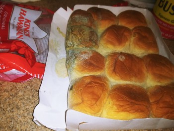 Consumer Review - Food Safety Publix, East Sunrise Boulevard, Fort Lauderdale, FL, USA i ate a Hawaiian roll bought next morning w... photo #1