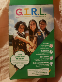 Girl scout cookies, Tyler, TX, USA 照片 #1