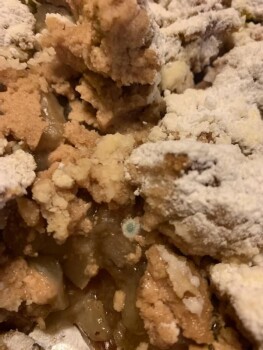 Rapport de sécurité alimentaire du consommateur La Rosa's Pastry Shop, Newman Springs Road, Shrewsbury, NJ, USA Bought an apple crumb pie on Saturda... photo #1