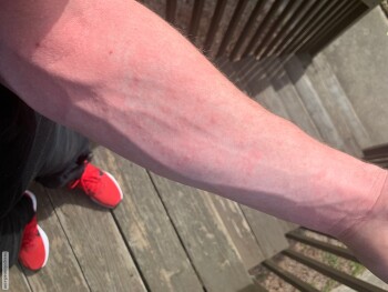 Bojangles' Famous Chicken 'n Biscuits, Hwy 66 South, Kernersville, NC, USA photo #1