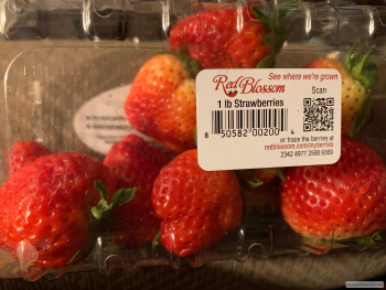 Avis du consommateur - Sécurité alimentaire Elmer IGA, Front Street, Elmer, NJ, USA I strongly believe it was Red Blossom strawberries purchased... photo #2