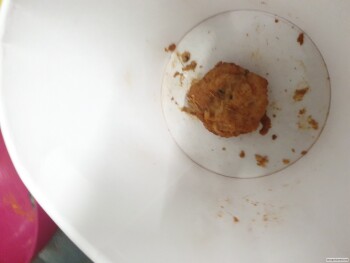 Consumer Review - Food Safety KFC, Trafalgar Street, Burnley, UK Me and my wife got sick the next day evening shaking vomiting not... photo #2