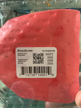 Kroger Marketplace, Twelve Mile Road, Royal Oak, MI, USA photo #1