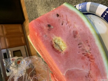 Verbraucherbewertung – Lebensmittelsicherheit Walmart Supercenter, Blue Diamond Road, Las Vegas, NV, USA I still still very sick I purchased a wat... Foto #1