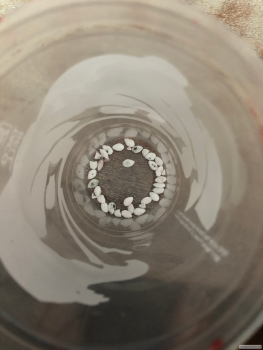 Taco Bell, Fort Union Boulevard, Salt Lake City, UT, USA photo #1