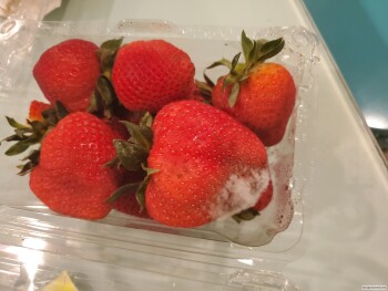 Whole Foods Market, McKinney Avenue, Dallas, TX, USA photo #1