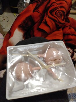 Starbucks, South Eastern Avenue, Las Vegas, NV, USA photo #1