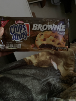 Dollar General, North Main Street, Chase City, VA, USA photo #1