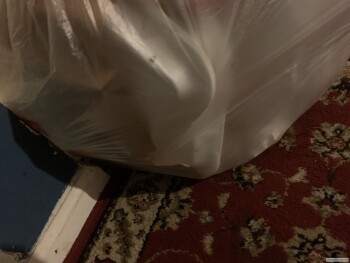 Cook Out, Park Road, Charlotte, NC, USA صورة فوتوغرافية #1