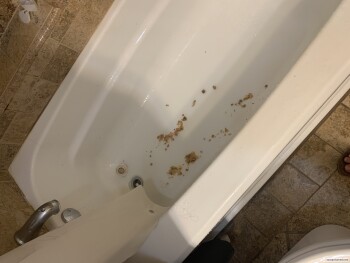 McDonald's, North East 150th Street, Edmond, OK, USA photo #1