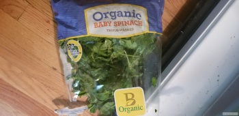 Consumer Review - Food Safety Costco Wholesale, 4401 4th Ave S, Seattle, WA 98134, USA Not sure. Spinach? My best guess was a bag... photo #1