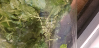 Consumer Review - Food Safety Costco Wholesale, 4401 4th Ave S, Seattle, WA 98134, USA Not sure. Spinach? My best guess was a bag... photo #2
