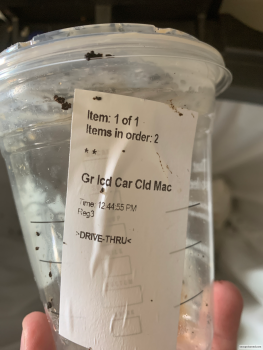 Starbucks Kahala Drive-Thru, 4722-4762 Kilauea Ave, Honolulu, HI 96816, United States photo #1