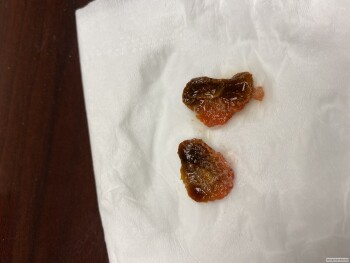 Starbucks, Wilma Rudolph Boulevard, Clarksville, TN, USA 照片 #1