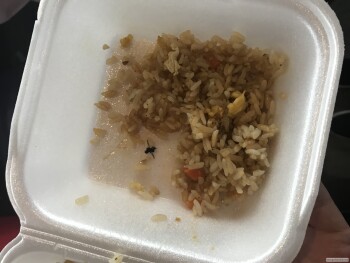 Ichiban, Youree Drive, Shreveport, LA, USA photo #1