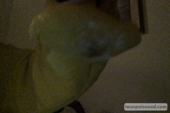 Lemon, Dallas, TX, USA photo #1