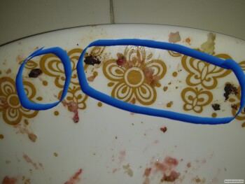 Avis du consommateur - Sécurité alimentaire Sara Lee Classic Strawberry Cheesecake, Food 4 Less, Highland Avenue, Highland, CA 92346, USA Mice d... photo #3