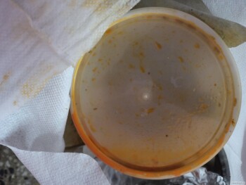 Spice Aangan, Main Street, Block C 5, Safdarjung Development Area, Hauz Khas, New Delhi, Delhi, India photo #1