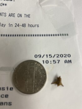 Consumer Review - Food Safety Chipotle Mexican Grill, North Mall Drive, Virginia Beach, VA, USA A foreign object stuck me in the m... photo #1