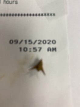 Consumer Review - Food Safety Chipotle Mexican Grill, North Mall Drive, Virginia Beach, VA, USA A foreign object stuck me in the m... photo #2