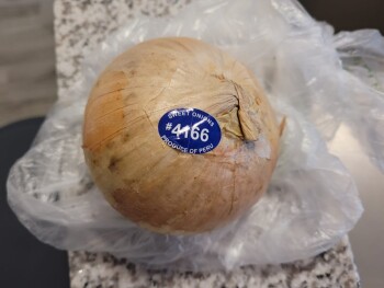 Onion, Walmart Supercenter, West Colonial Drive, Ocoee, FL, USA photo #1