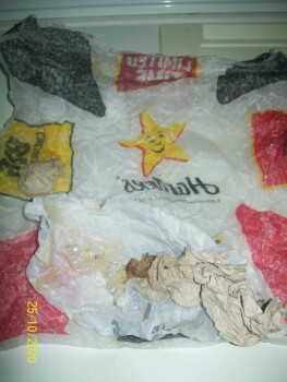 Hardee's, New Circle Road, Lexington, KY, USA foto #1