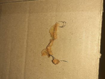 Ideal Fisheries, Elsies River Road, Balvenie, Cape Town, South Africa photo #1