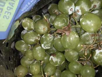 Walmart Supercenter, 7th Avenue, Longview, WA, USA photo #1