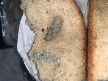 Avis du consommateur - Sécurité alimentaire Dunkin', 7602 13th Ave, Brooklyn, NY 11228, USA On December 11th, I bought food there, and the new p... photo #2