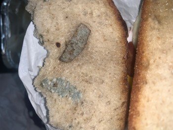 Dunkin', 7602 13th Ave, Brooklyn, NY 11228, USA photo #1