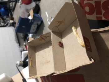 مراجعة المستهلك - سلامة الغذاء McDonald's, Silverado Ranch, Las Vegas, NV, USA Purchase quarter pounder and Big Mac. Big Mac was pe... صورة فوتوغرافية #2