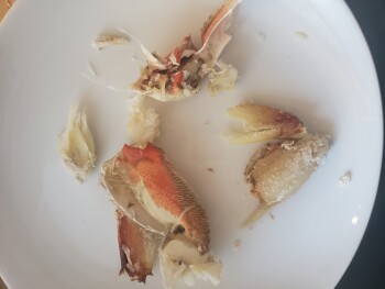 Consumer Review - Food Safety Walmart Supercenter, Ramon Road, Palm Springs, CA, USA Sams choice brand 1.5 lb boxed snow crab and... photo #2