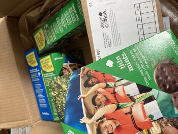 Girl Scout cookies  Thin Mints, Melvindale, MI, USA foto #1