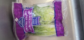 Avaliação do consumidor - Segurança alimentar WinCo Foods, Northeast Butler Street, Hillsboro, OR, USA Nature's Reward Romaine Lettuce Started get... foto #1