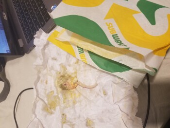 Subway, Pascoe Vale Road, Broadmeadows VIC, Australia 照片 #1