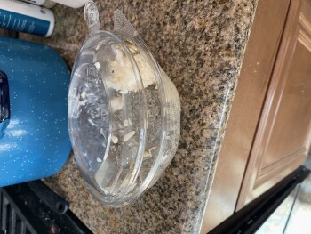 Reseña del consumidor - Seguridad alimentaria Poke Poku Hawaiin Poke Bar, South Rainbow Boulevard, Las Vegas, NV, USA About 8 hours after eating h... foto #2