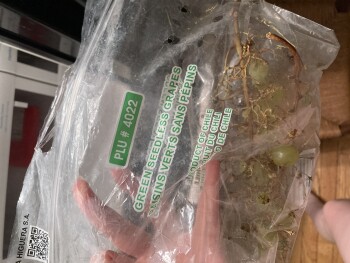 Green seedless grapes, Walmart Supercenter, Donald E Thurmond Parkway, Cleveland, GA, USA photo #1