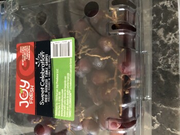 消费者评论 - 食品安全 Sam's Club, Northwest Passage, Oklahoma City, OK, USA Me last night the 26.  2 got sick. My granddau... 照片 #2