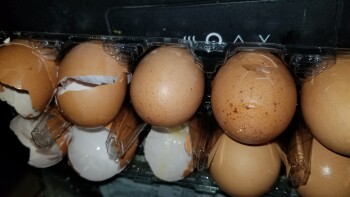 Eggs, Lidl, Ridge Pike, Trooper, PA, USA Foto #1