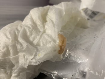 Chick-fil-A, Bloomington Street, Colorado Springs, CO, USA photo #1