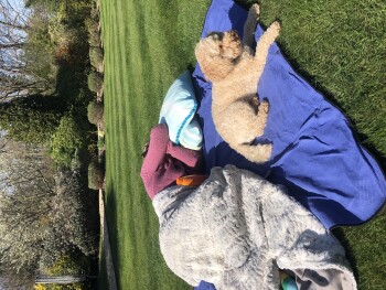 Sushi, Asda Clapham Junction Superstore, Lavender Hill, London, UK photo #1