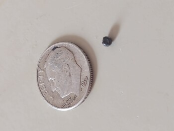 Consumer Review - Food Safety Ground Bison, Walmart Supercenter, 2350 S Pleasant Valley Rd, Winchester, VA, USA Ground bison I fou... photo #4